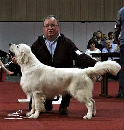 Prince van Artésendal